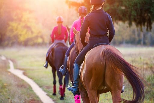 Why Do So Many Girls Give Up Equestrian Sports in their Teenage Years?