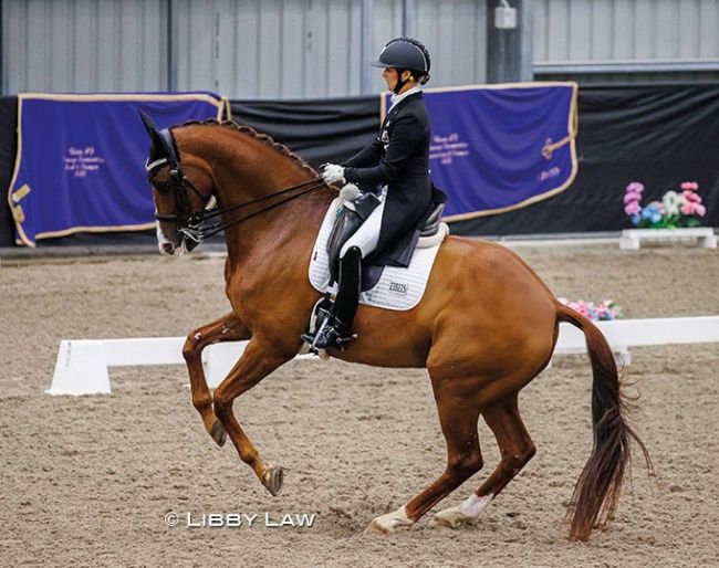 Melissa Galloway and Windermere J'Obei W Clinch 2023 New Zealand Grand Prix Championship and Set New Records