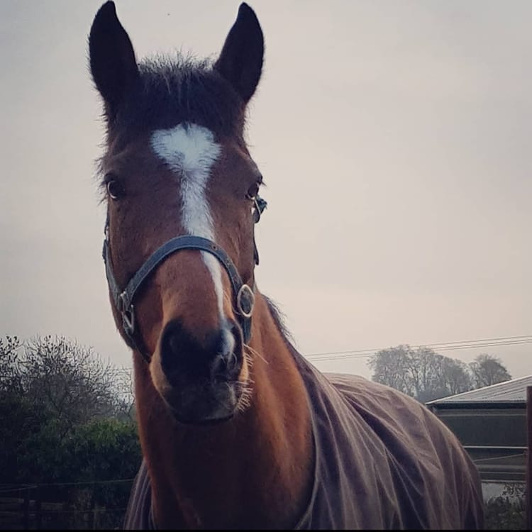 Riding into Wellness