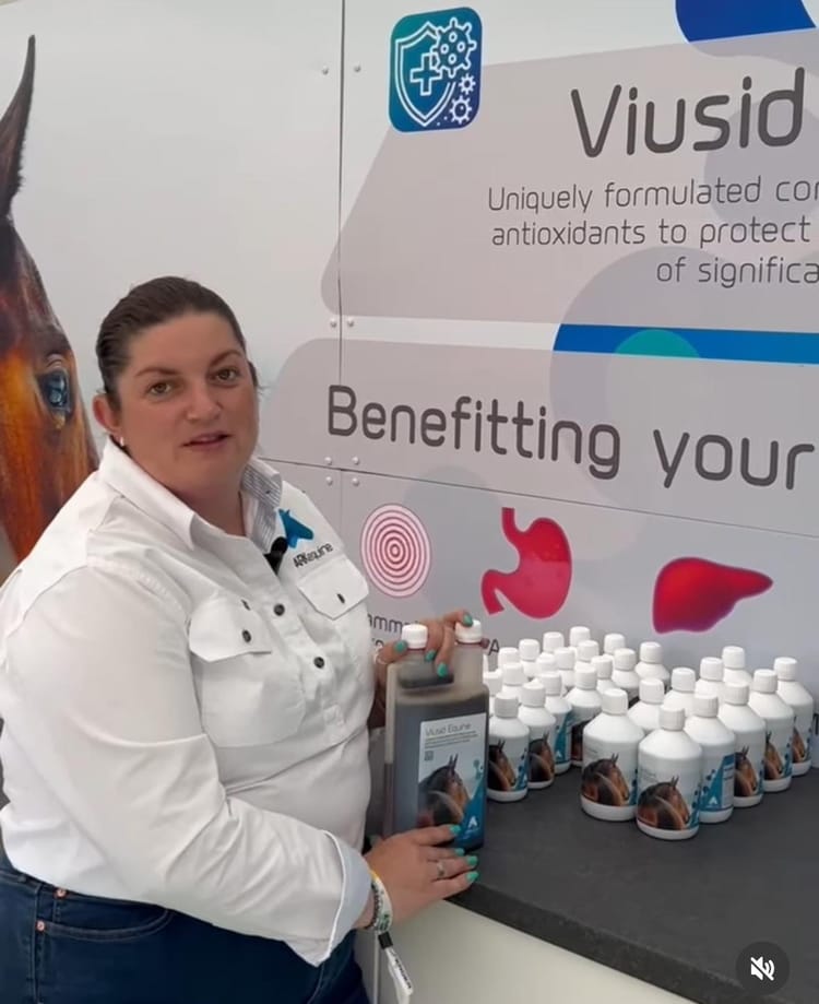 Innovation and Care at the Heart of ARK Equine