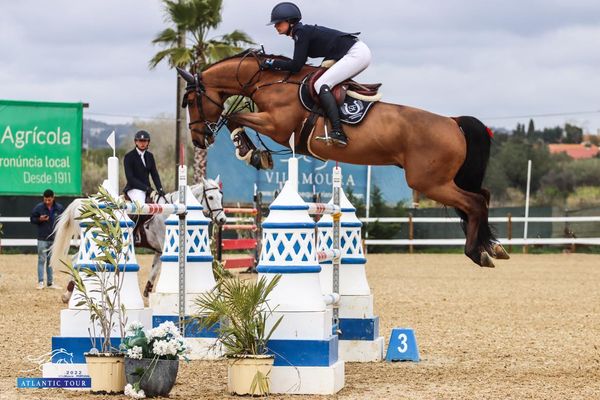 5-minute minds: Quick reads on people's perspectives with Susan Fitzpatrick - International Showjumper