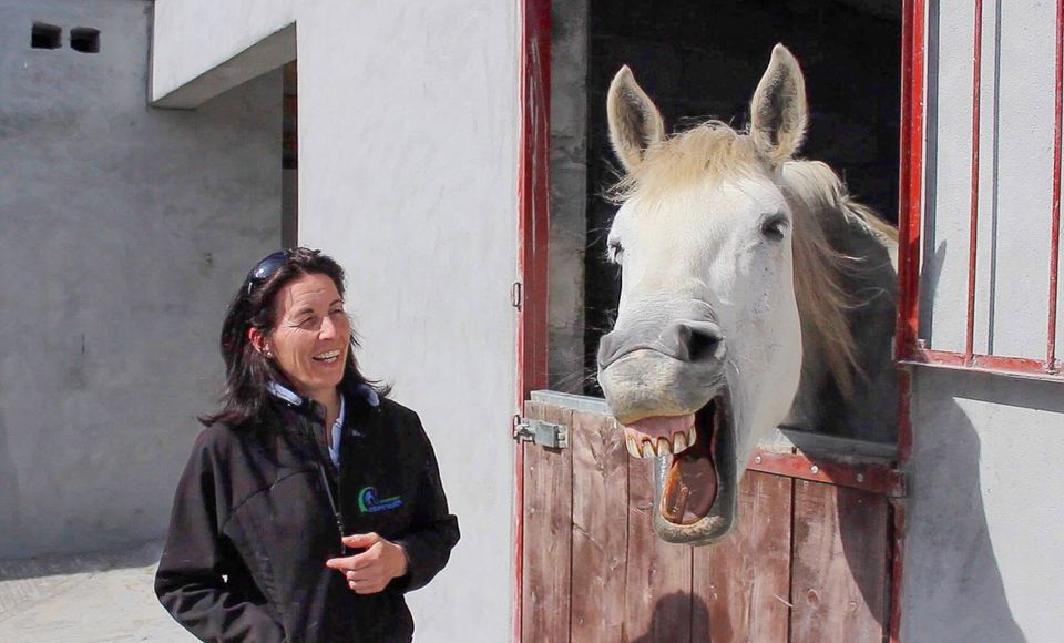 Interview with Carly Hillier – Whitethorn Equine Health