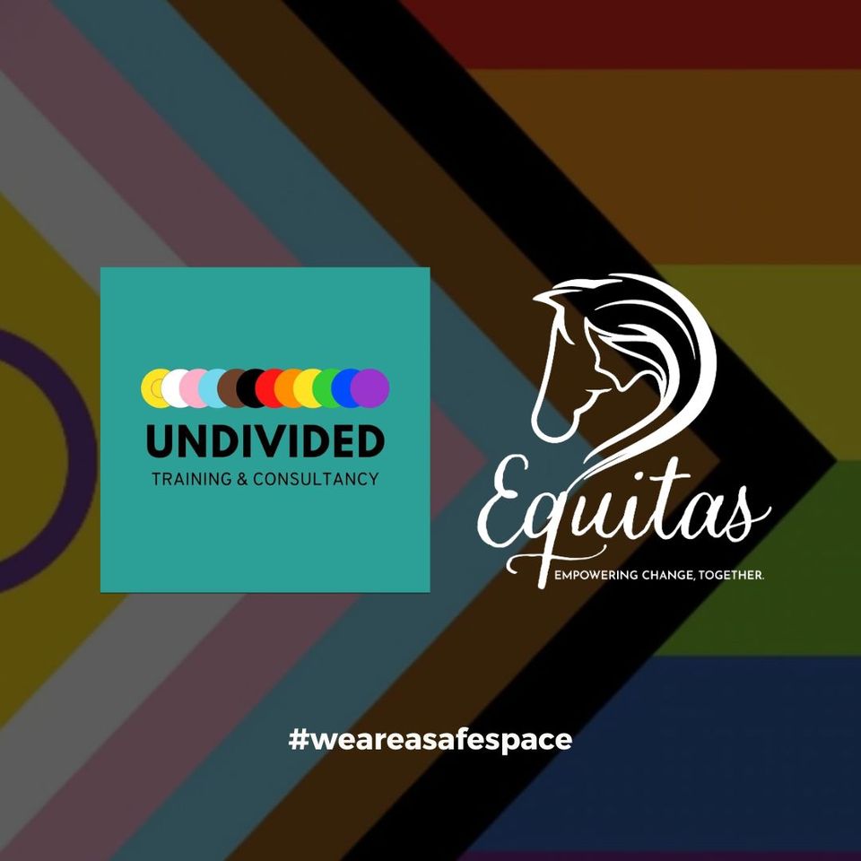 Equitas and Undivided Consultancy Agency Join Forces to Launch Groundbreaking Pride Campaign - 'Pride Isn't Only One Month a Year'