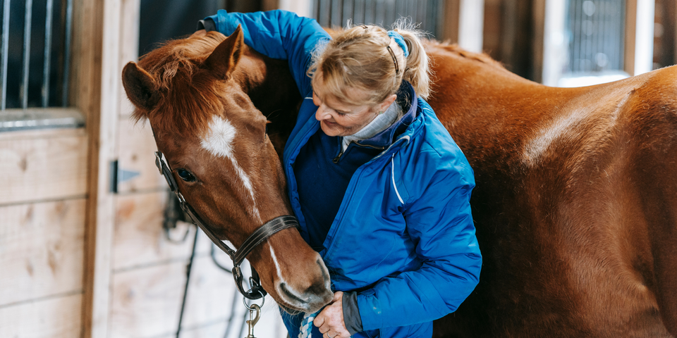 Part 3: The Empowering Benefits of Strength Training for Female Horse Riders Post-Menopause