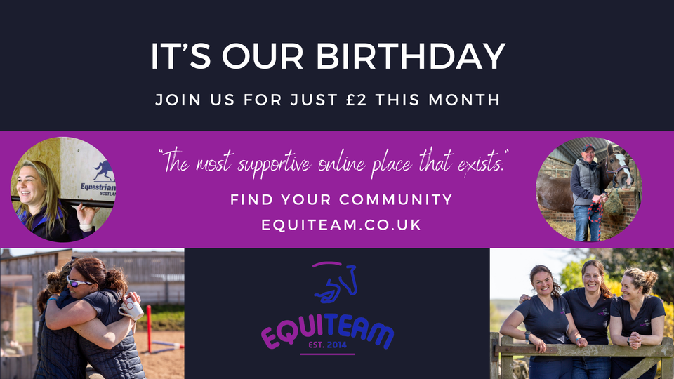 Celebrate with EquiTeam: Special 2nd Birthday Offer!