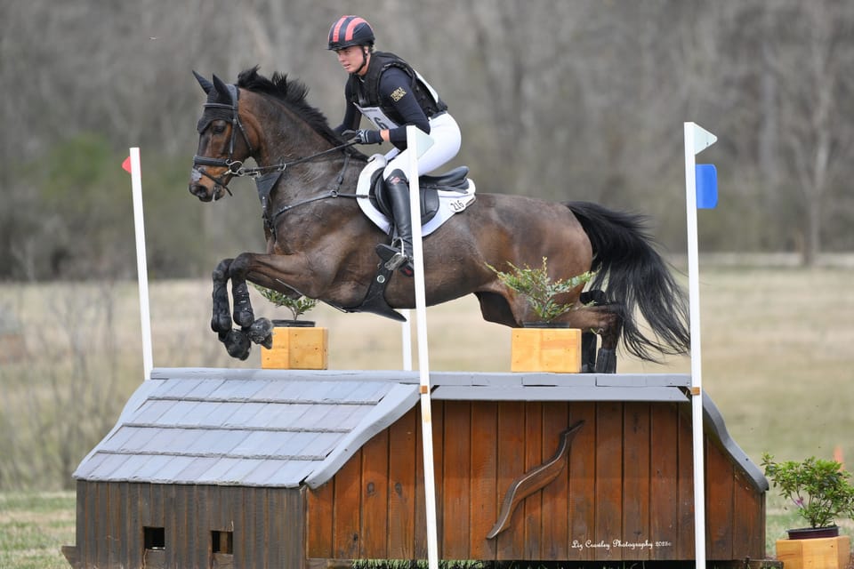 Caroline Pamukcu and HSH Double Sixteen Claim Victory in First 2025 US Equestrian Open Qualifier at Bouckaert International