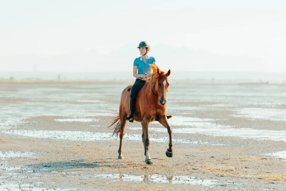 Queens of Media: Shelby Dennis Leading the Charge for Equine Welfare and Education