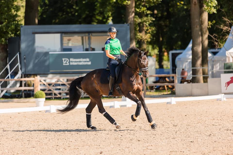 “We Just Got On”: Sarah Slattery on Horses, Home and Holding the Line in Para-Dressage
