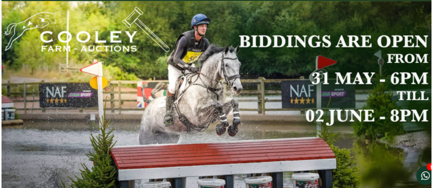 Cooley Farm Auction 2025: A Rare Opportunity from a Proven System