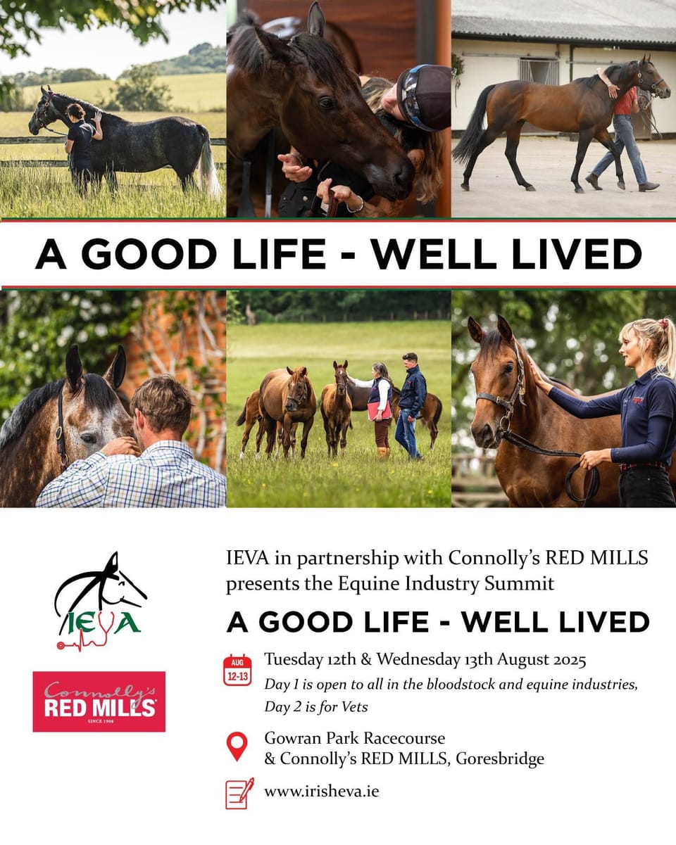 A Good Life – Well Lived: Equine Industry Summit Set to Inspire and Inform