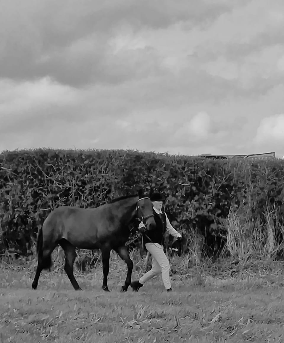 Common sense isn't that Common anymore