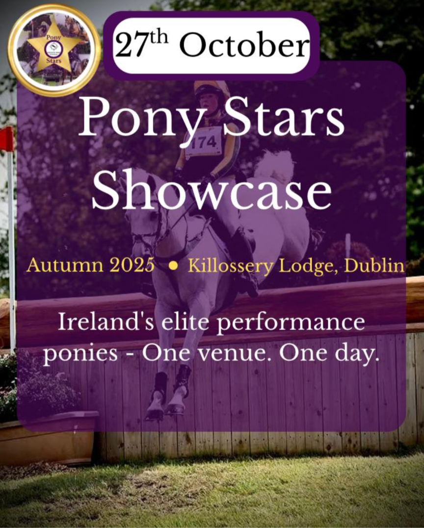 Pony Stars Showcase 2025: Connecting Ireland’s Elite Ponies with National and International Buyers