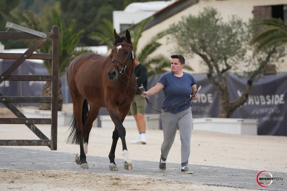 To the Grooms: The Ones Who Keep It All Going