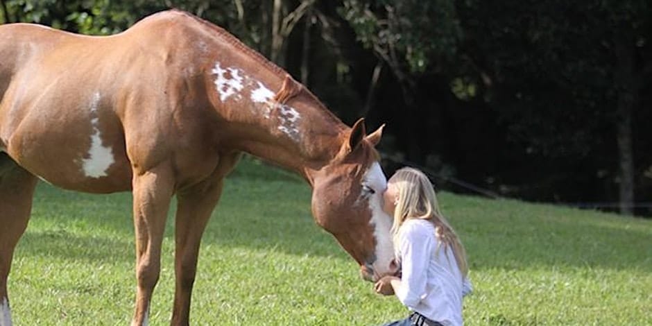 People & Horses: The Online Conference Driving Positive Change in Equine Leadership and Welfare